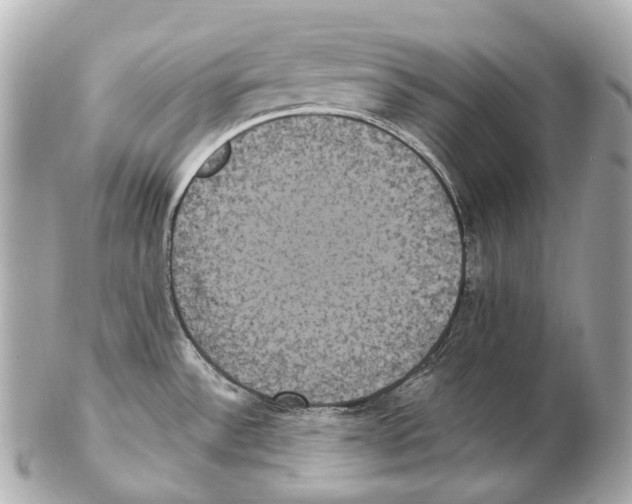 X0000102411532200808291456