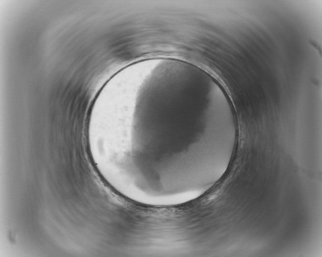 X0000102411533200808291456