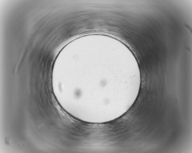 X0000102411534200808291456