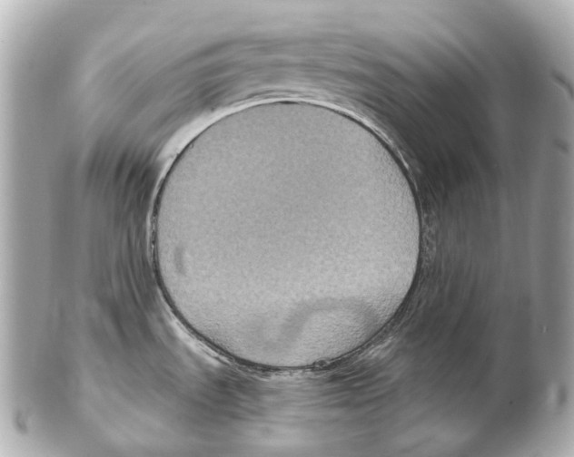 X0000102411535200808291456