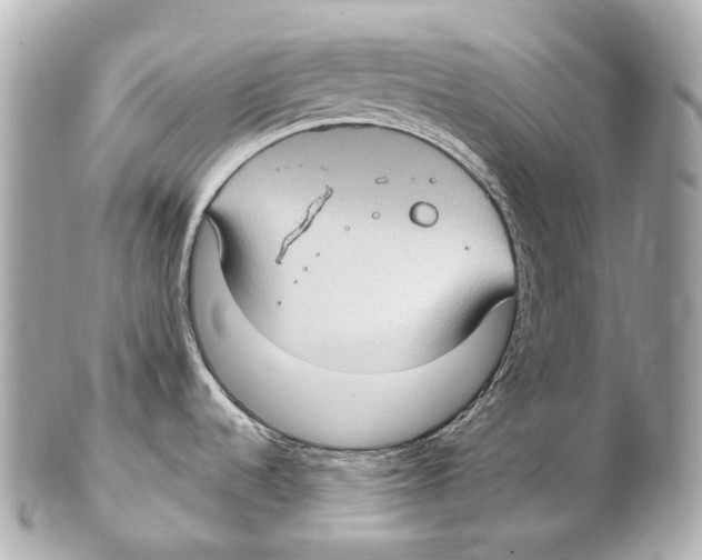 X0000102411536200808291456