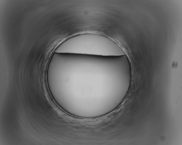 X0000102460001200808080956