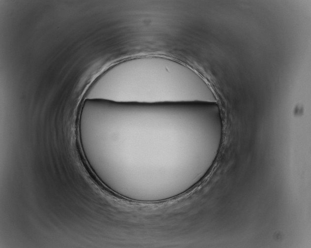 X0000102460002200808080956