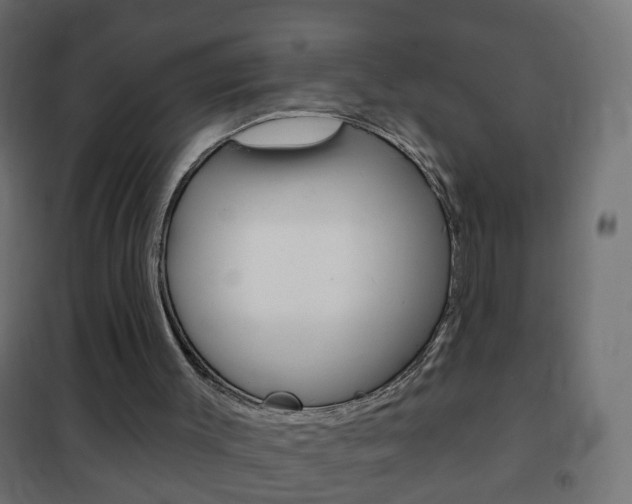 X0000102460003200808080956