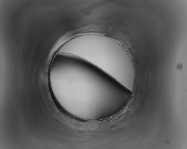 X0000102460004200808080956
