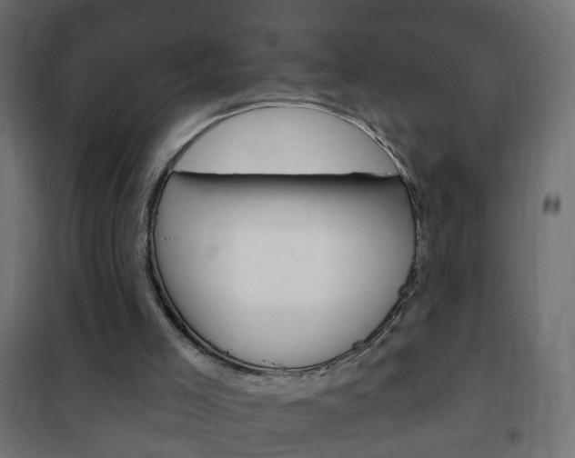 X0000102460005200808080956