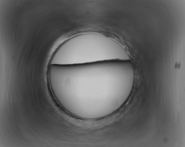 X0000102460006200808080956