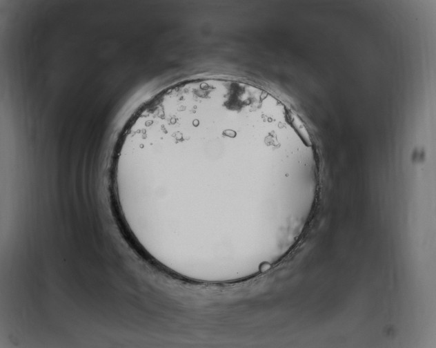 X0000102460007200808080956