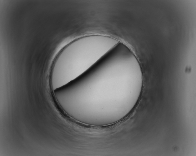 X0000102460008200808080956