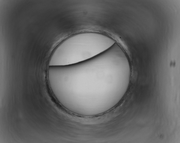 X0000102460010200808080956