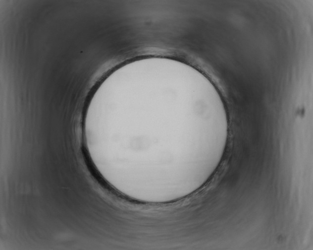 X0000102460011200808080956