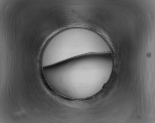 X0000102460012200808080956