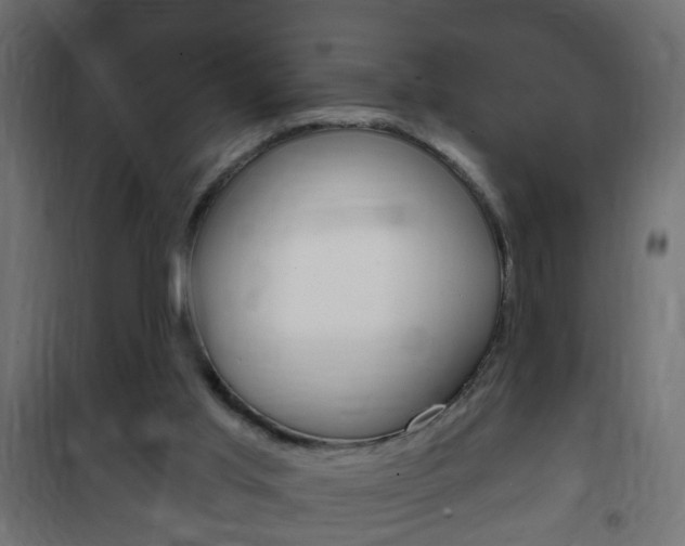 X0000102460013200808080956