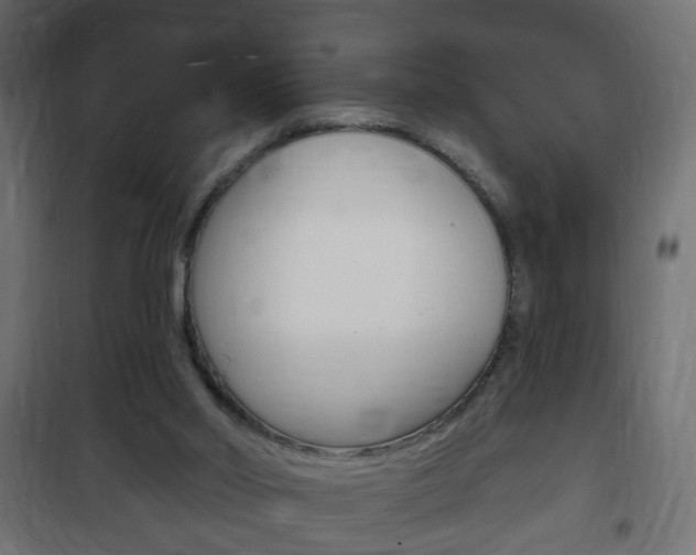 X0000102460014200808080956