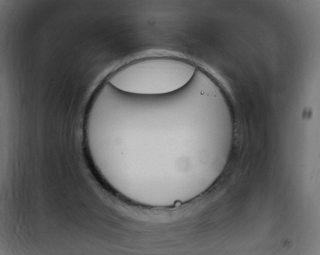 X0000102460015200808080956