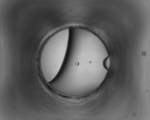 X0000102460016200808080956
