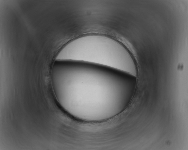 X0000102460017200808080956