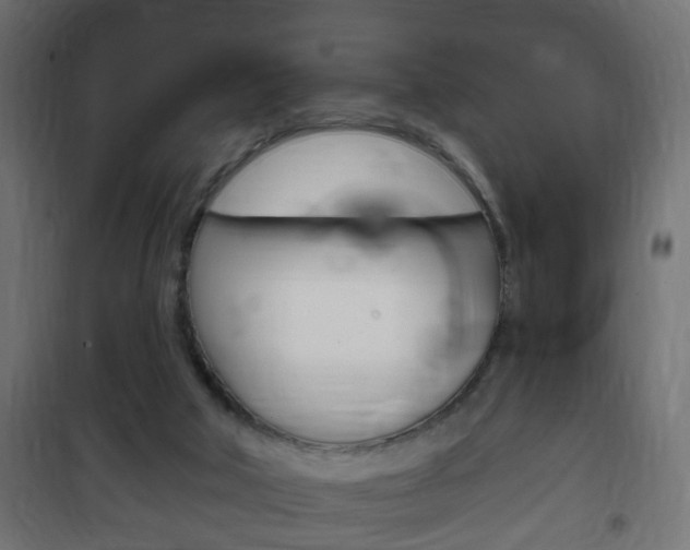 X0000102460018200808080956