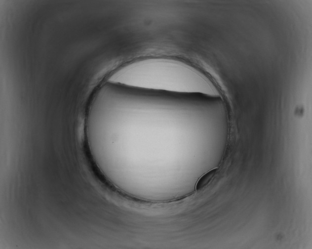 X0000102460019200808080956
