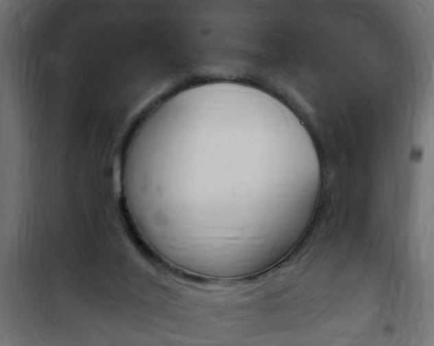 X0000102460020200808080956