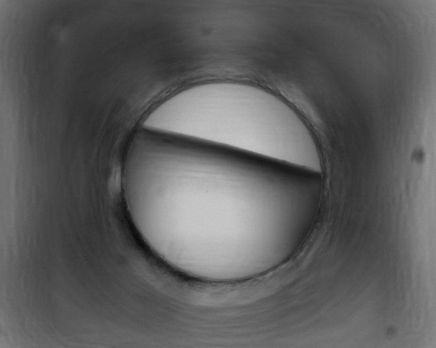 X0000102460021200808080956