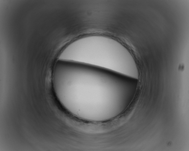X0000102460024200808080956