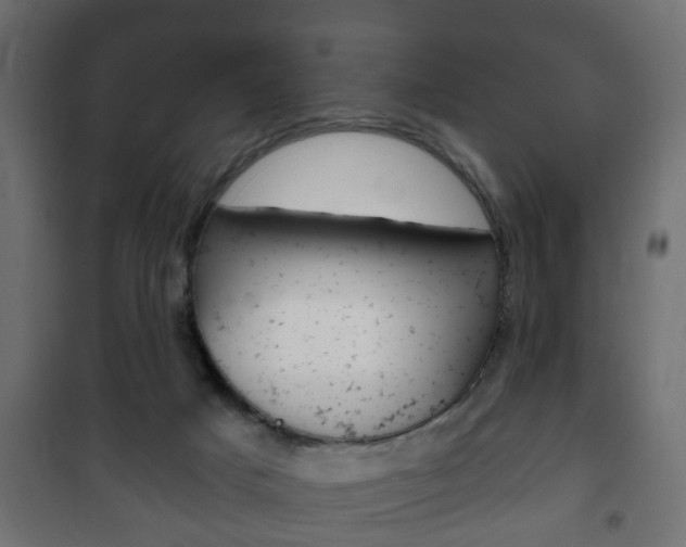 X0000102460025200808080956