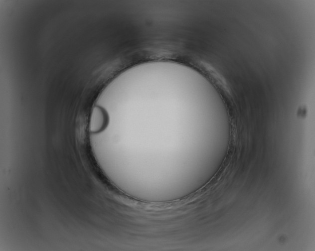 X0000102460026200808080956