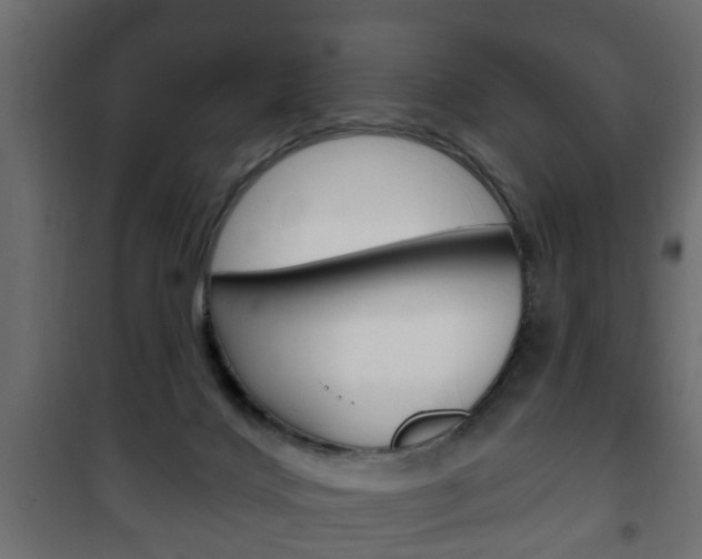 X0000102460028200808080956