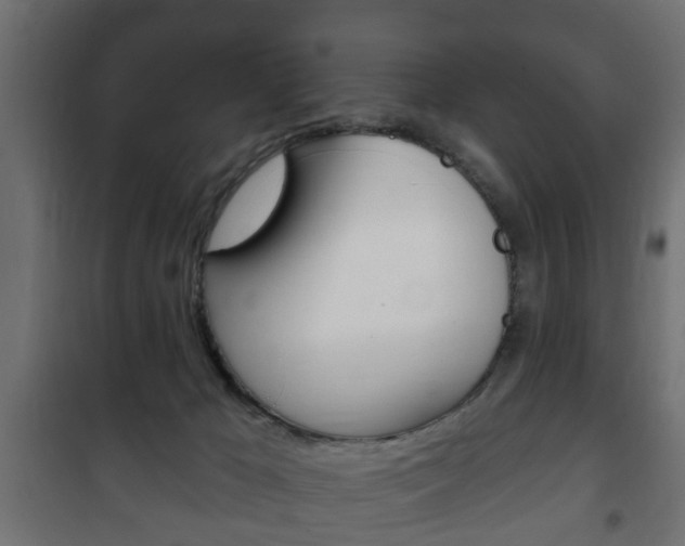 X0000102460029200808080956
