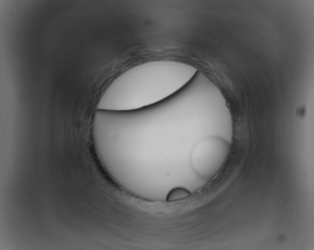 X0000102460030200808080956