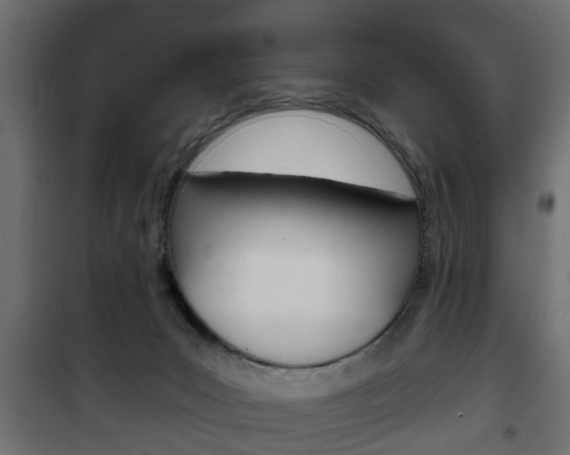 X0000102460031200808080956
