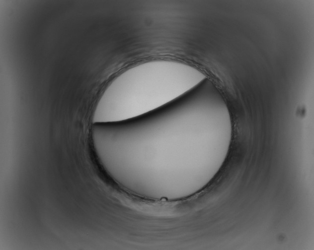 X0000102460032200808080956