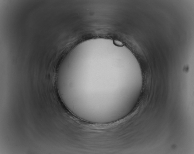 X0000102460033200808080956