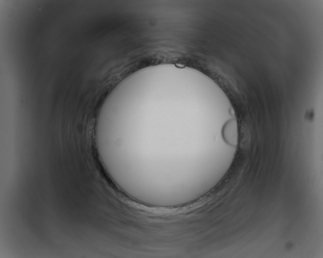 X0000102460034200808080956