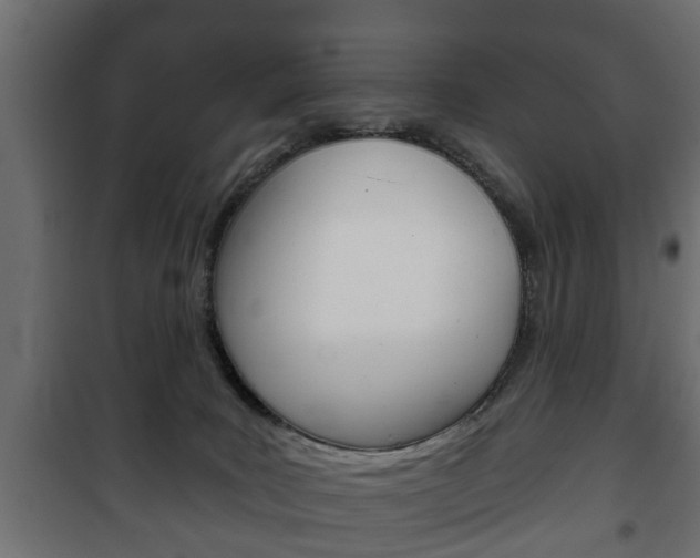 X0000102460035200808080956