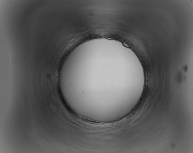 X0000102460036200808080956