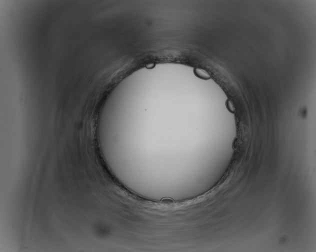 X0000102460037200808080956