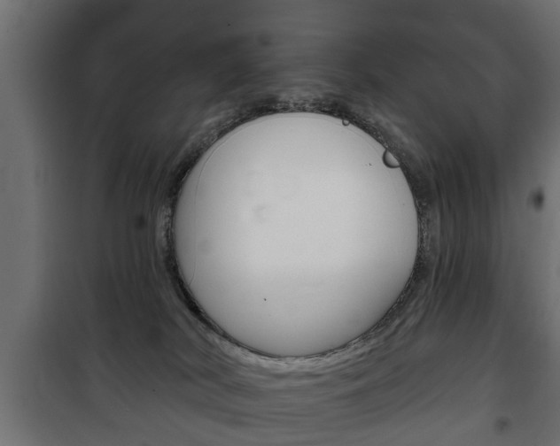 X0000102460038200808080956