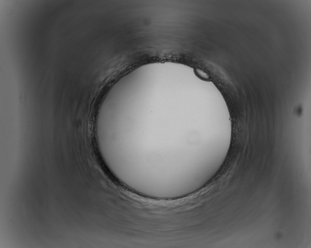 X0000102460039200808080955