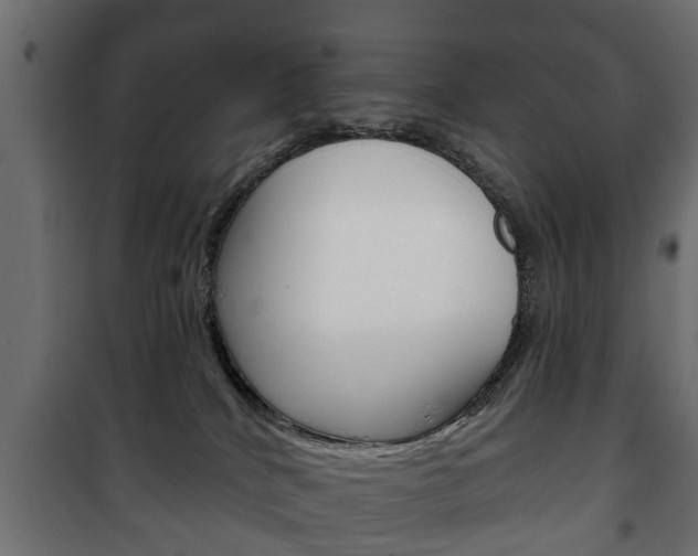 X0000102460040200808080955