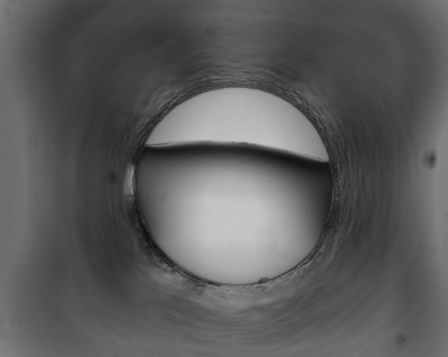X0000102460041200808080955