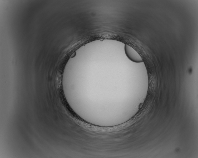 X0000102460043200808080955