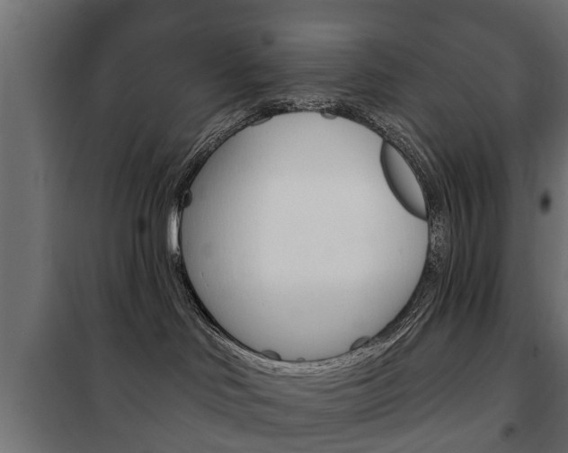 X0000102460046200808080955