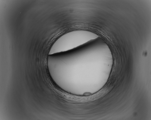 X0000102460048200808080955