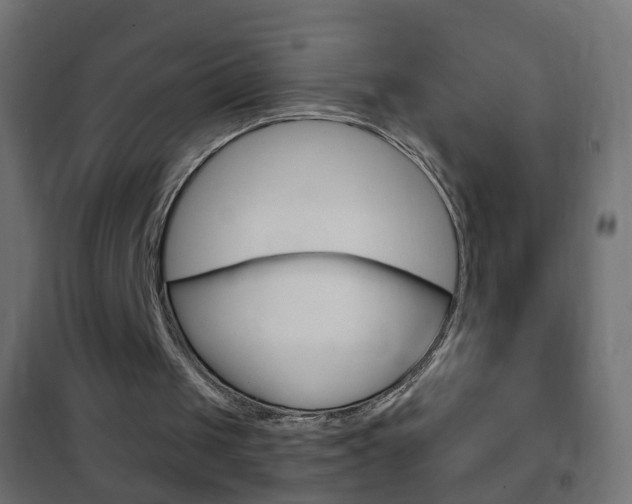 X0000102460049200808080955