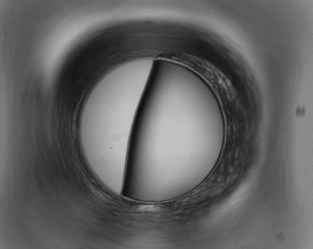 X0000102460050200808080955