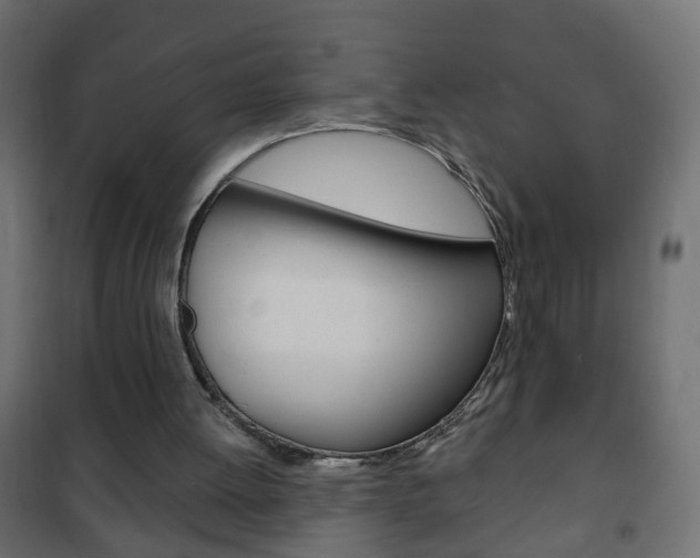 X0000102460052200808080955