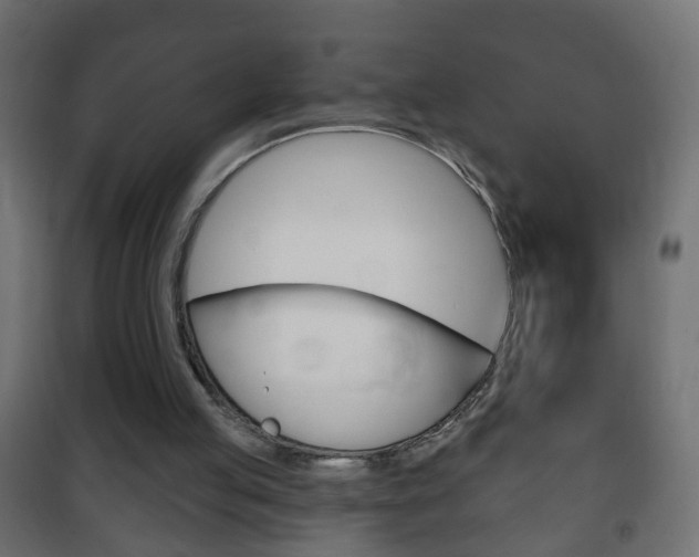 X0000102460053200808080955
