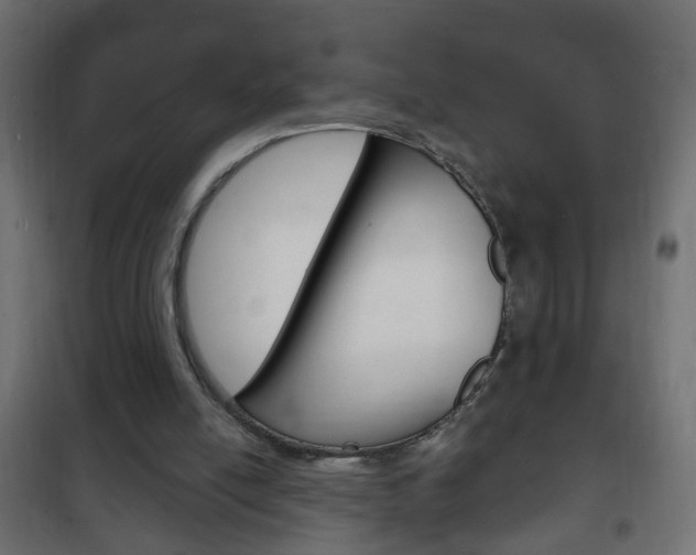 X0000102460054200808080955
